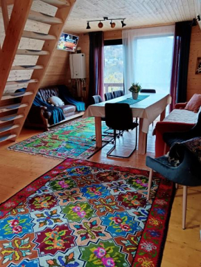 CarpatinA Rustic House